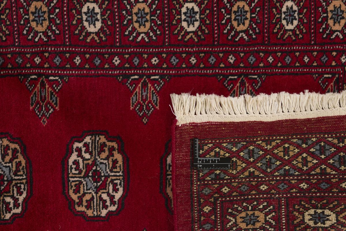 Pakistan Buchara 2ply - 1