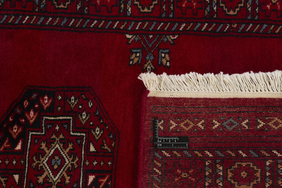 Pakistan Buchara 3ply - 1