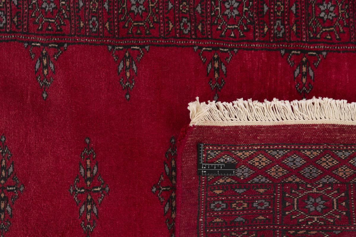 Pakistan Buchara 3ply - 1