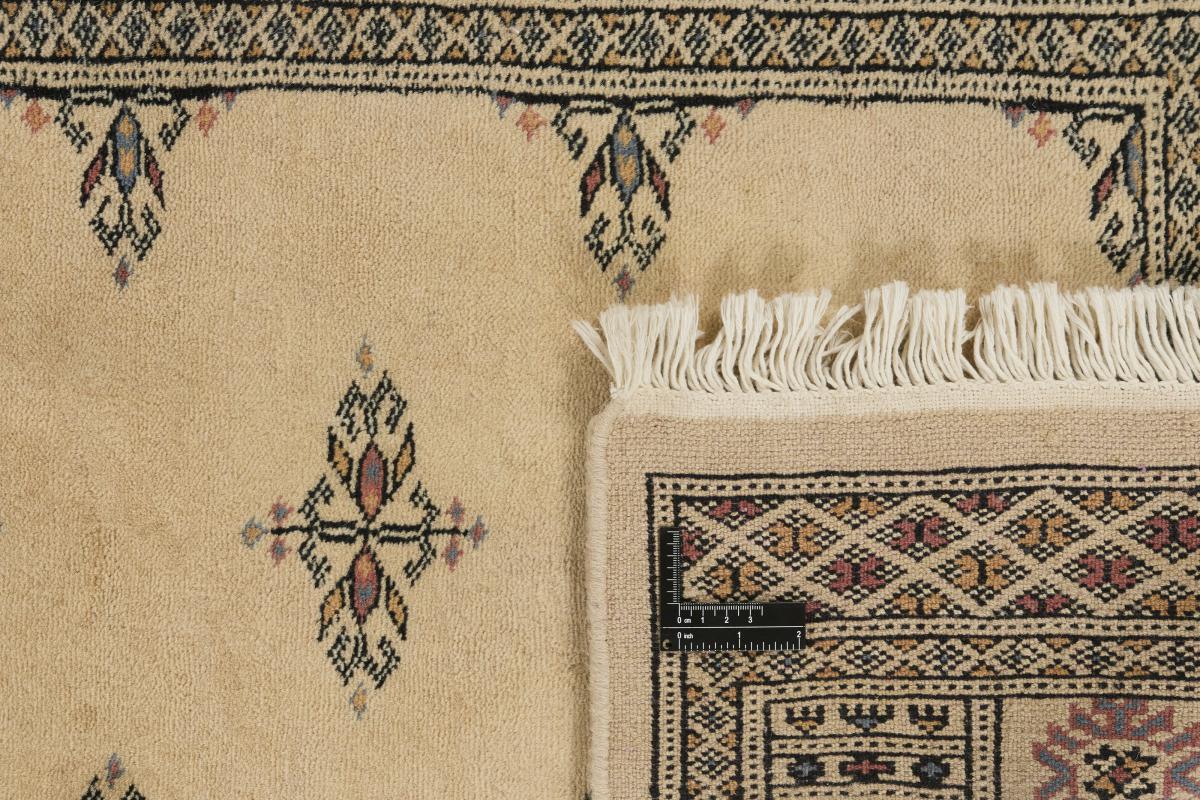 Pakistan Buchara 3ply - 1