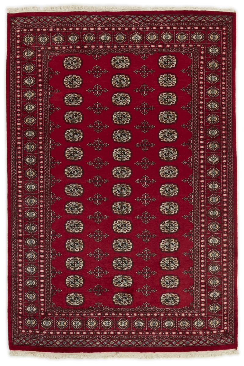 Tappeto pakistano Pakistan Buchara 2ply 251x171 251x171, Tappeto persiano Annodato a mano