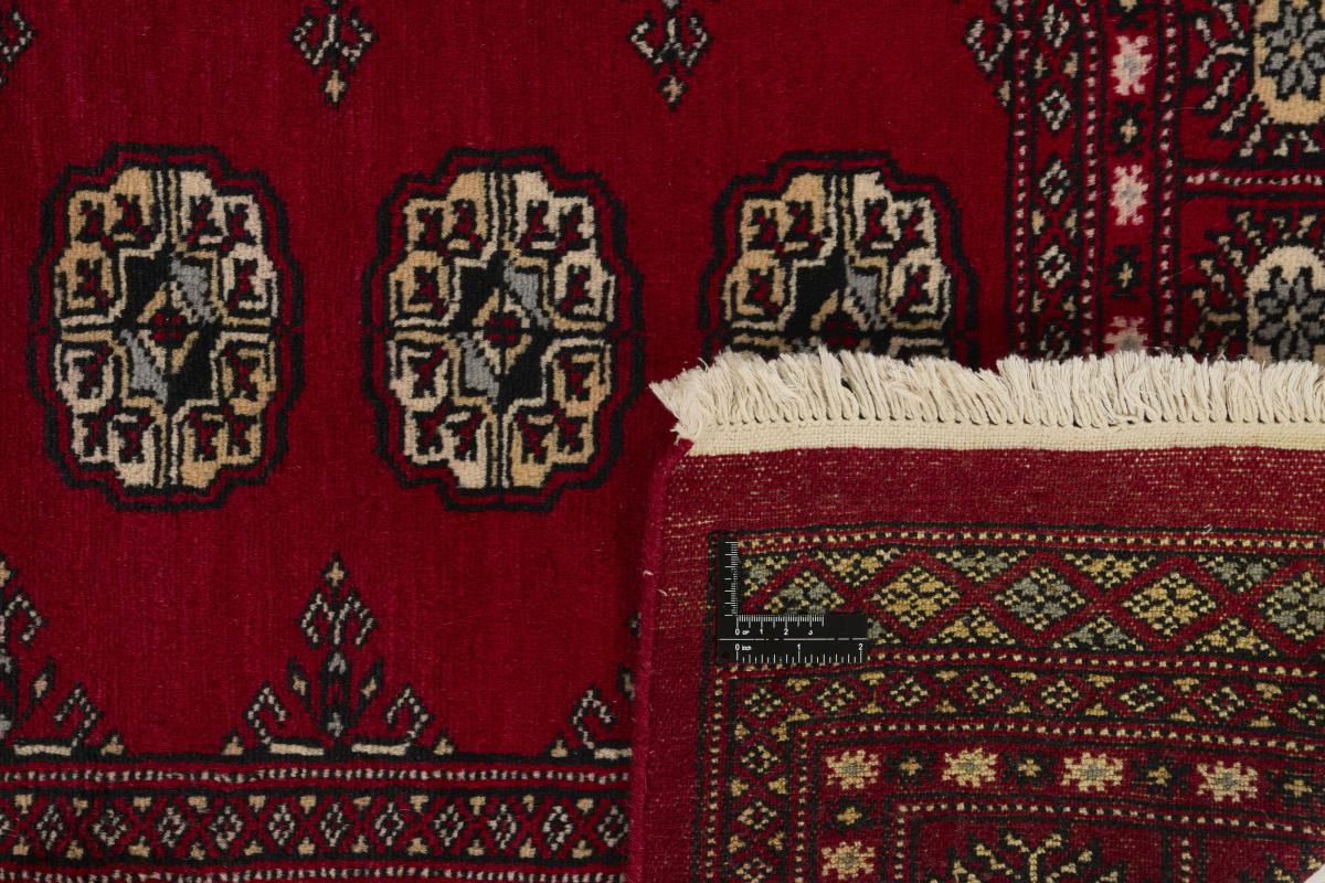 Pakistan Buchara 2ply - 1