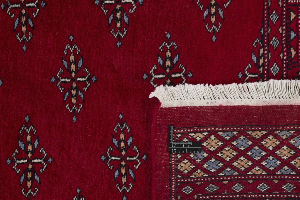 Pakistan Buchara 3ply - 1