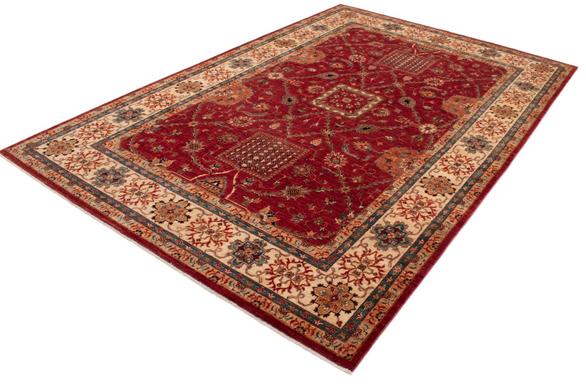 Arijana Hajjalili - 1