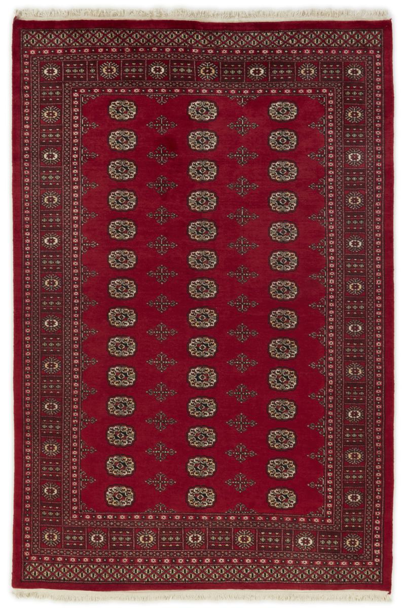 Tappeto pakistano Pakistan Buchara 2ply 247x168 247x168, Tappeto persiano Annodato a mano