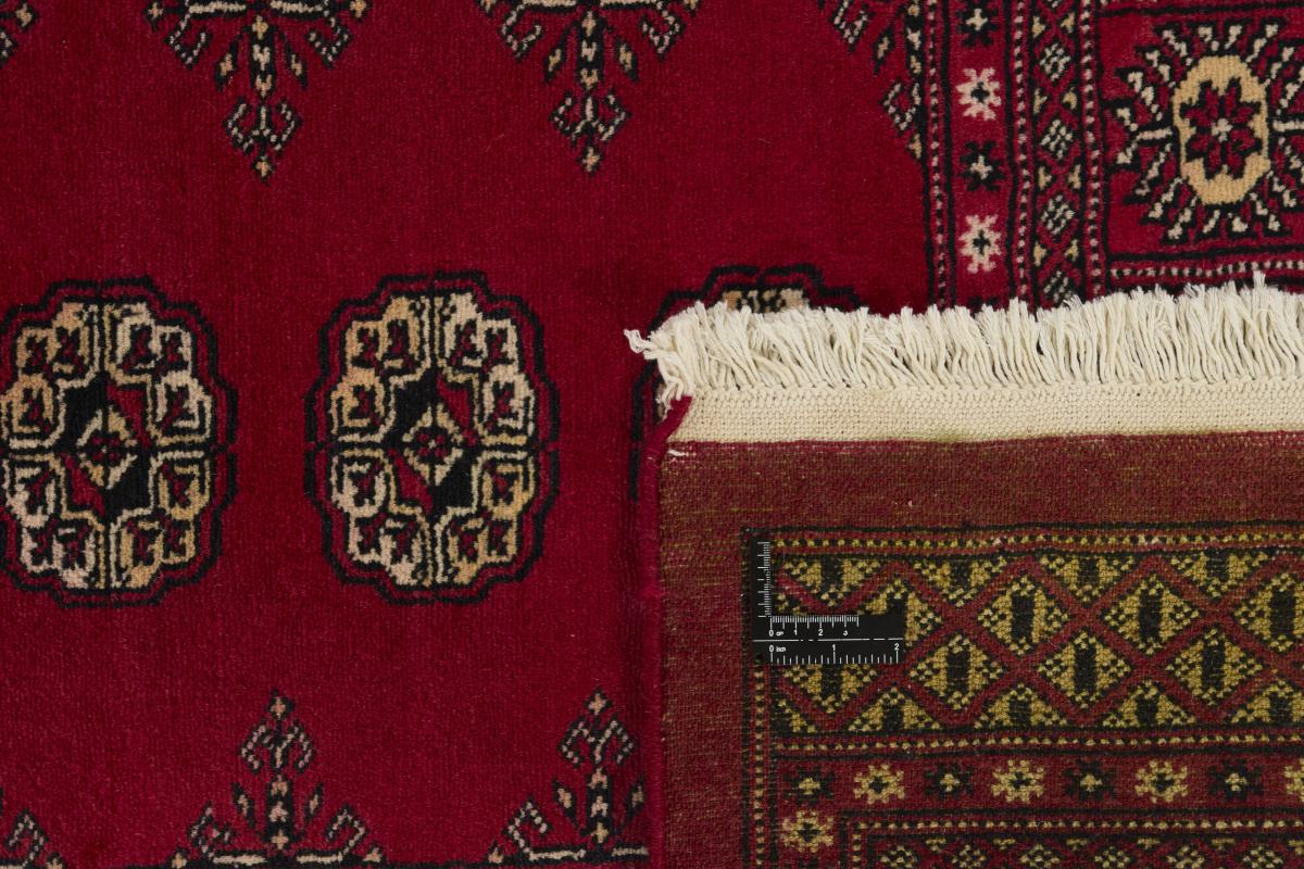 Pakistan Buchara 2ply - 1