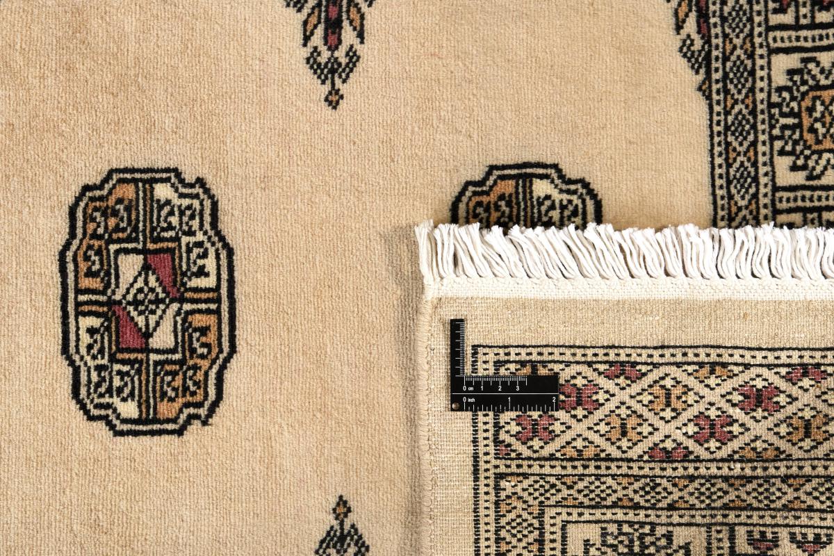 Pakistan Buchara 2ply - 1