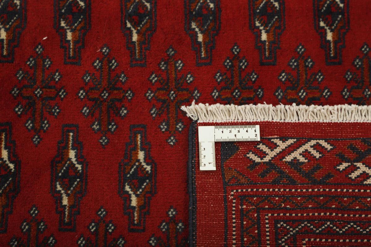 Turkaman - 1