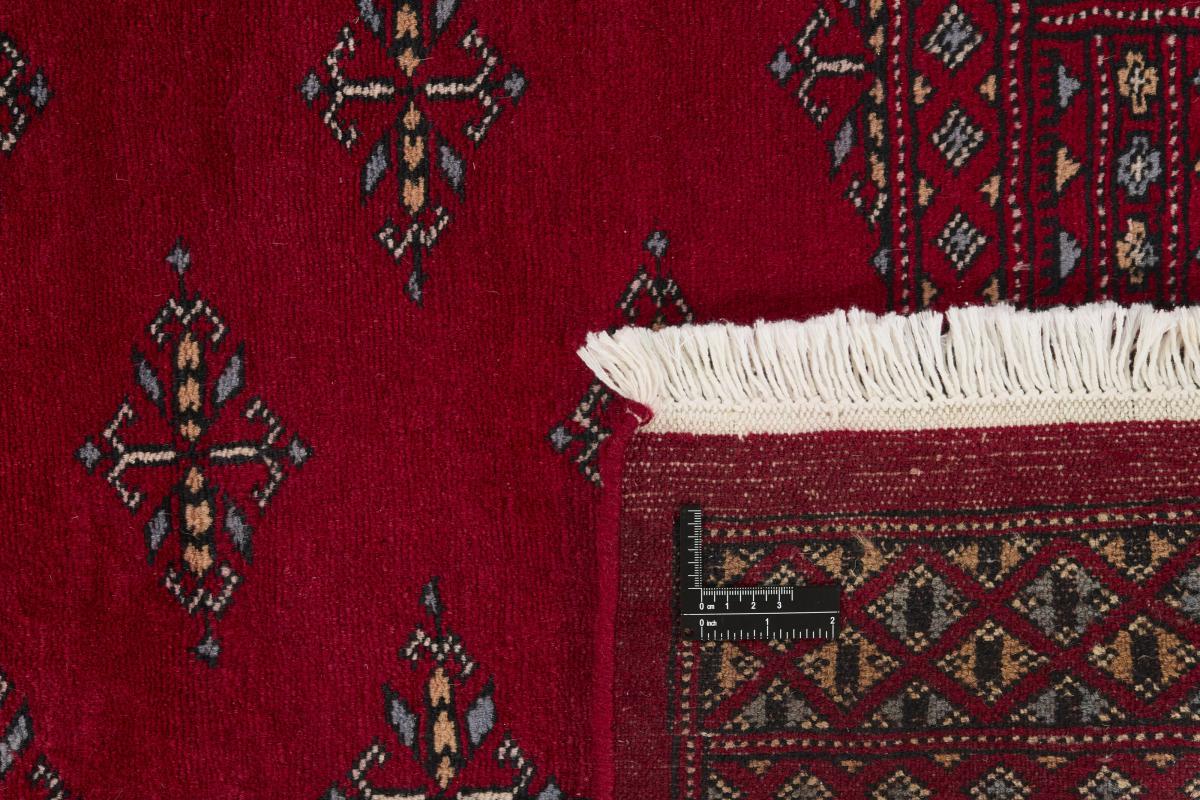 Pakistan Buchara 3ply - 1