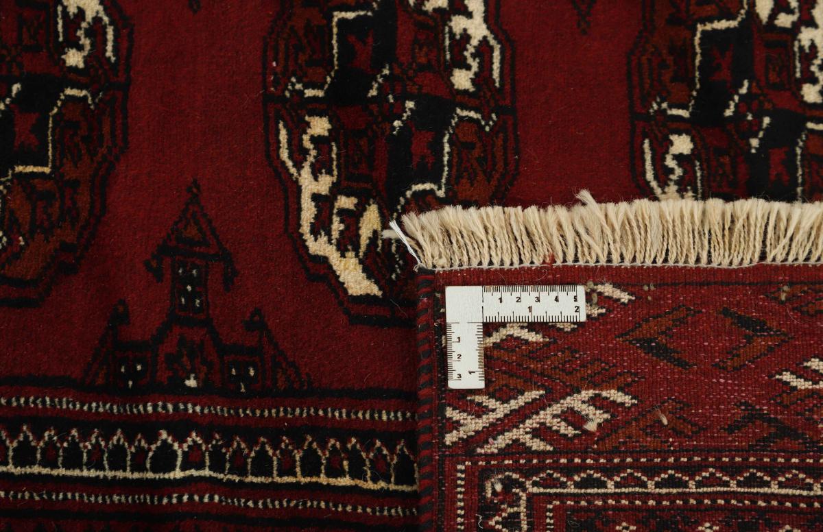 Turkaman - 1