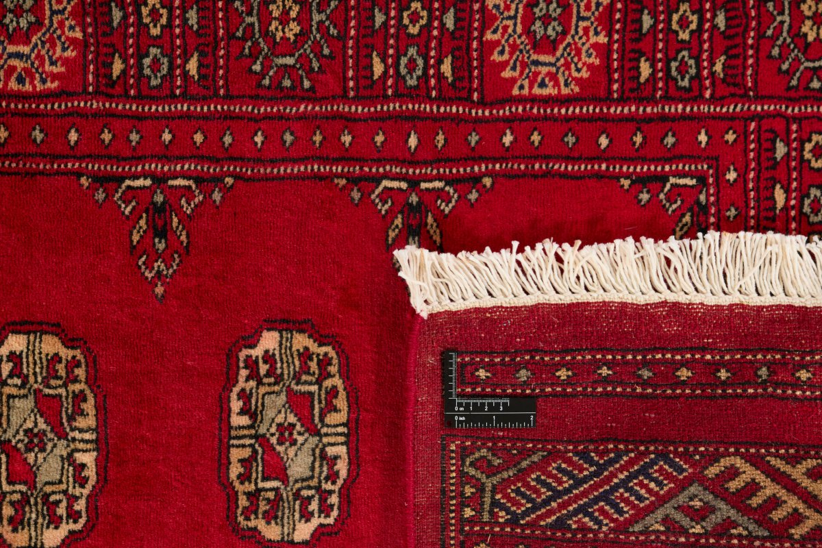 Pakistan Buchara 3Ply - 1