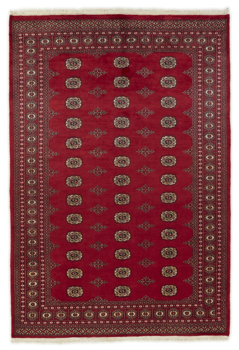 Tappeto pakistano Pakistan Buchara 2ply 251x173 251x173, Tappeto persiano Annodato a mano