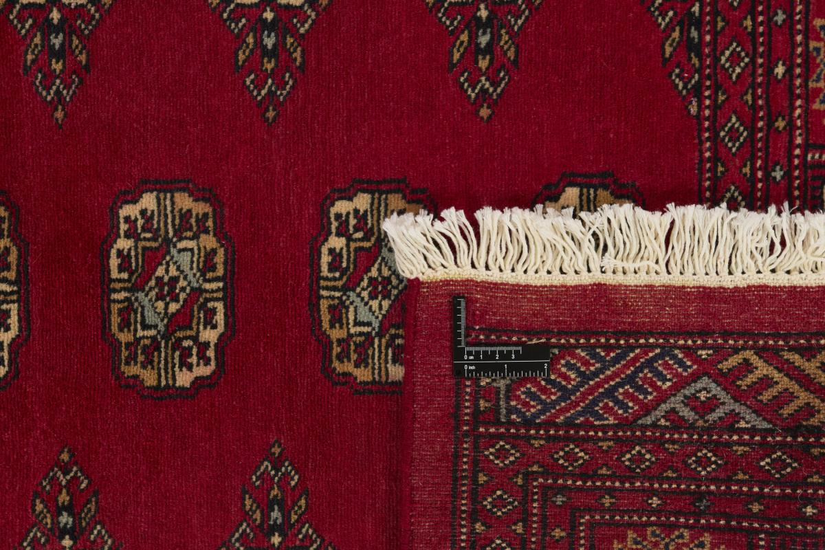 Pakistan Buchara 2ply - 1