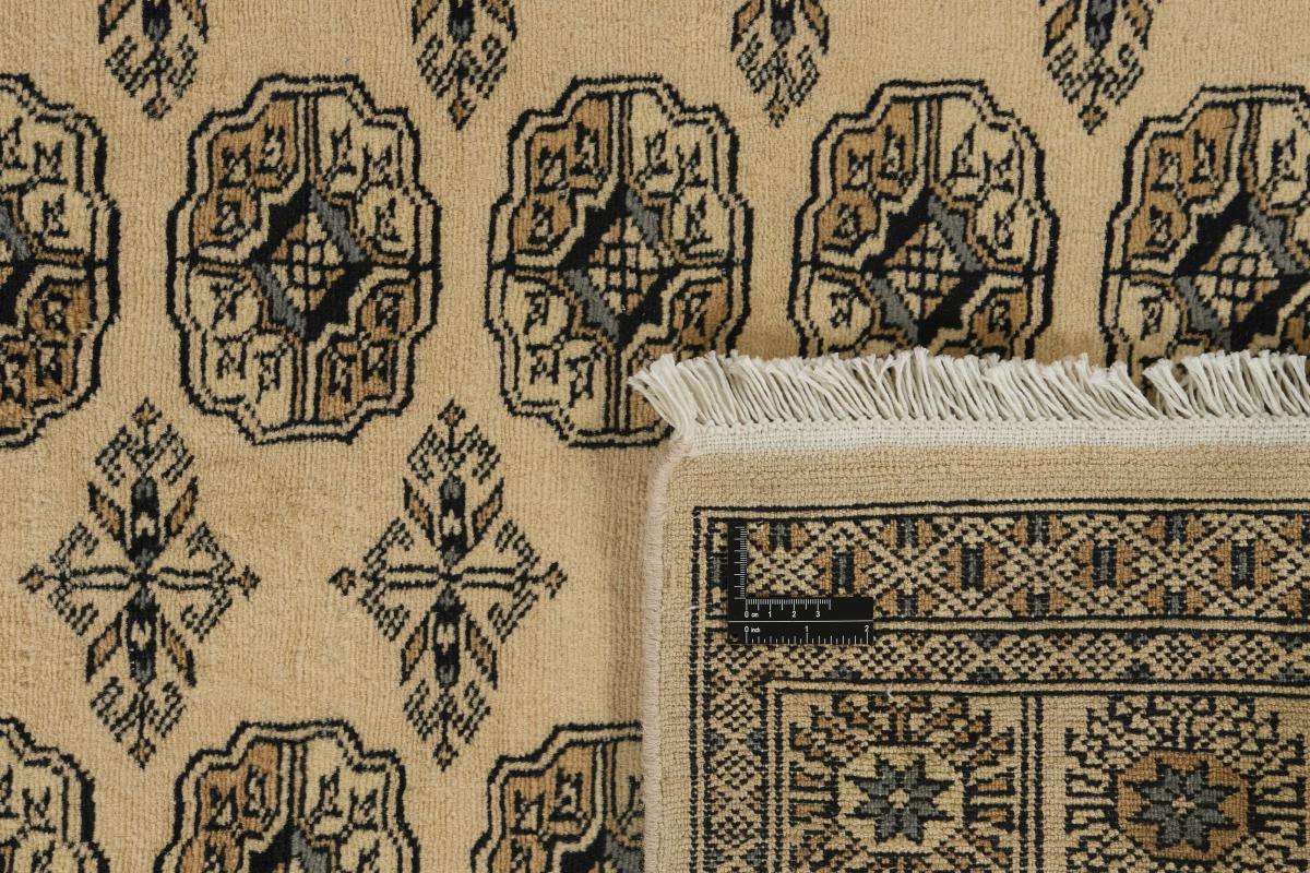 Pakistan Buchara 2ply - 1