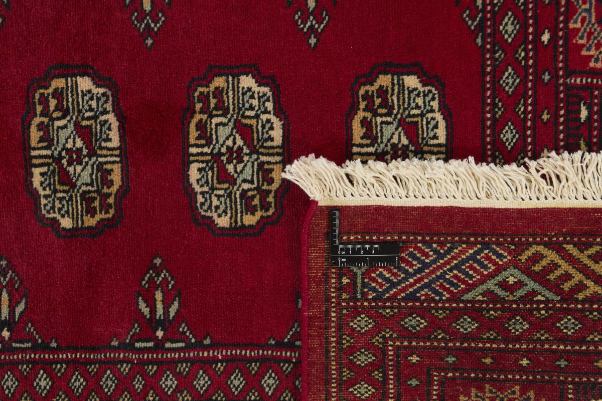 Pakistan Buchara 2ply - 1