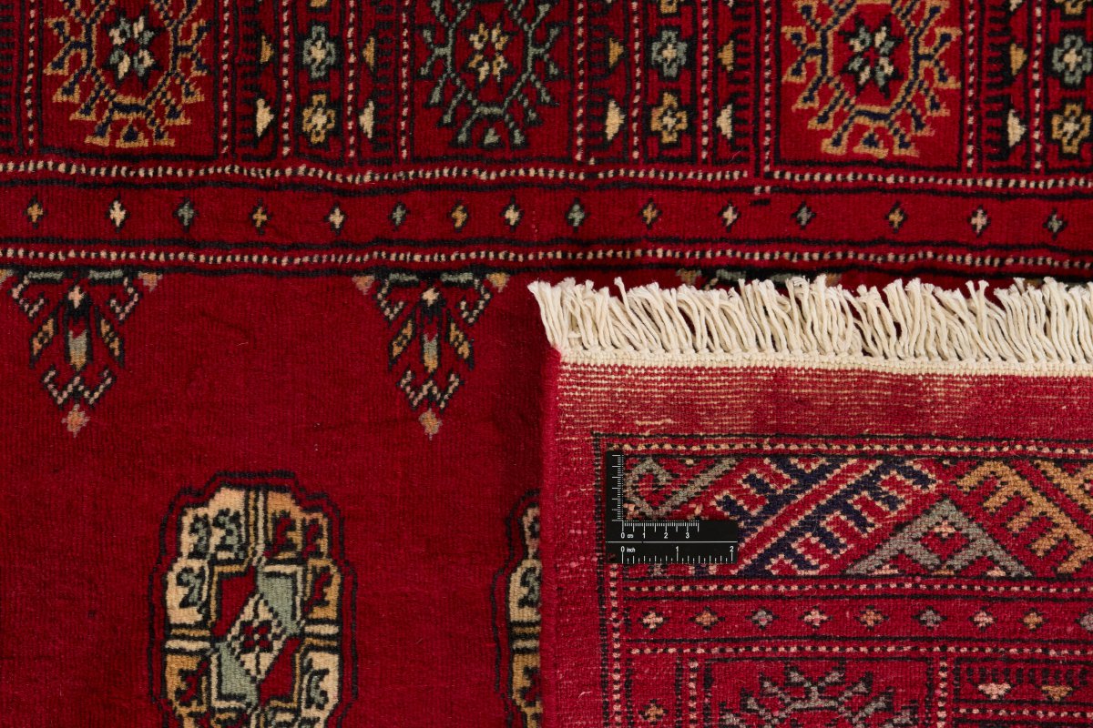 Pakistan Buchara 2ply - 1