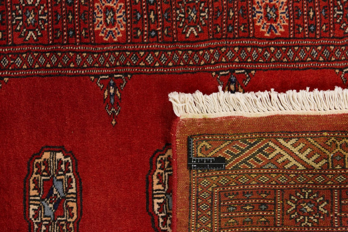Pakistan Buchara 2ply - 1