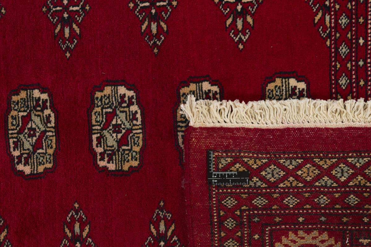 Pakistan Buchara 2ply - 1