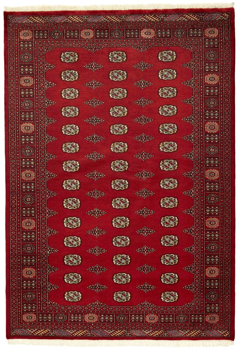 Tappeto pakistano Pakistan Buchara 2ply 247x171 247x171, Tappeto persiano Annodato a mano