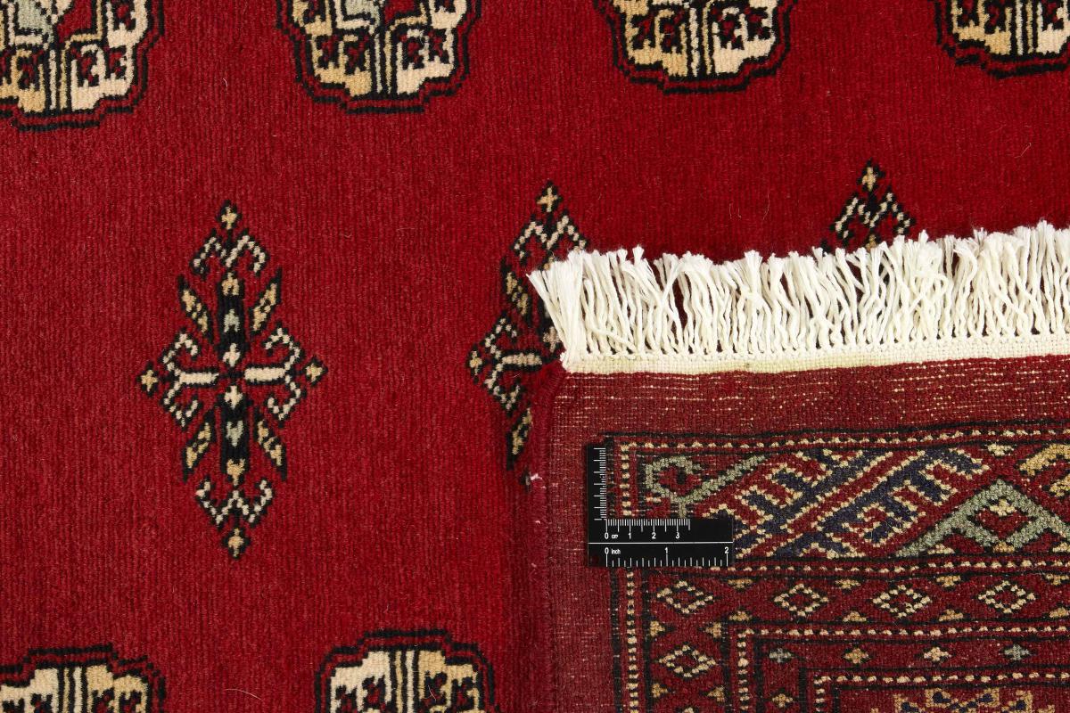 Pakistan Buchara 2ply - 1