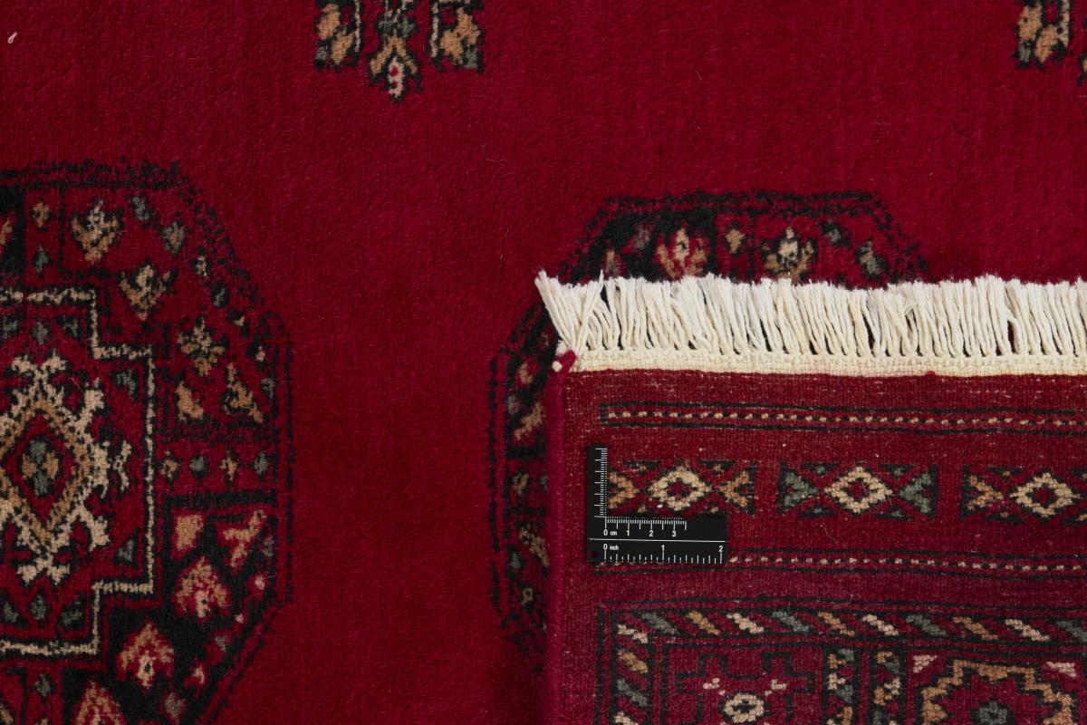 Pakistan Buchara 3ply - 1