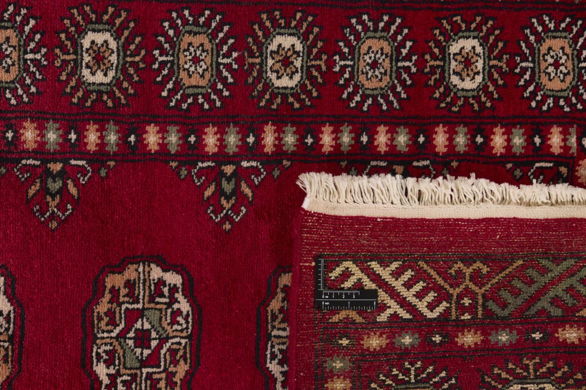 Pakistan Buchara 3ply - 1