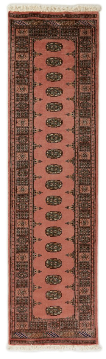 Pakistani rug Pakistan Buchara 2ply 292x78 292x78, Persian rug Hand-knotted