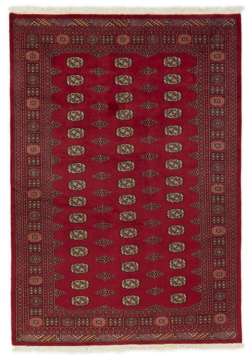 Tapis pakistanais Pakistan Buchara 2ply 246x171 246x171, Tapis persan Noué à la main