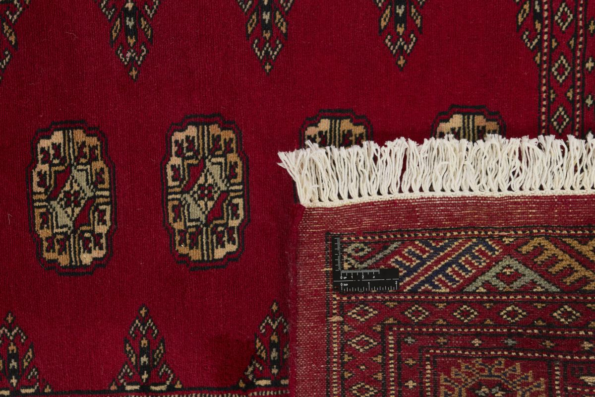 Pakistan Buchara 2ply - 1