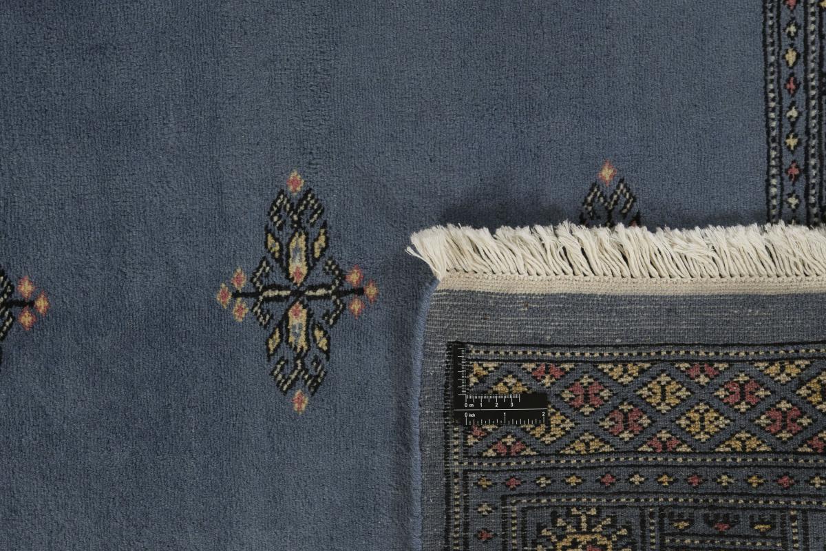 Pakistan Buchara 2ply - 1