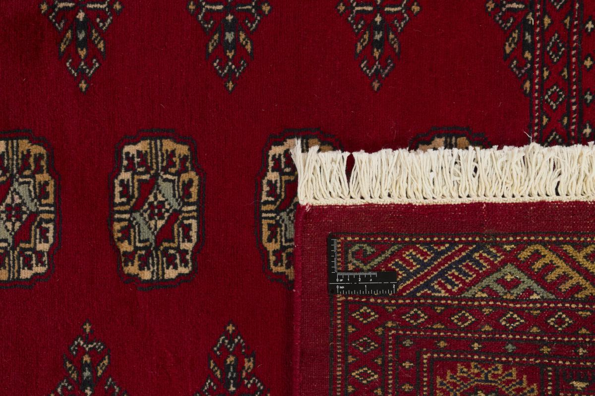 Pakistan Buchara 2ply - 1