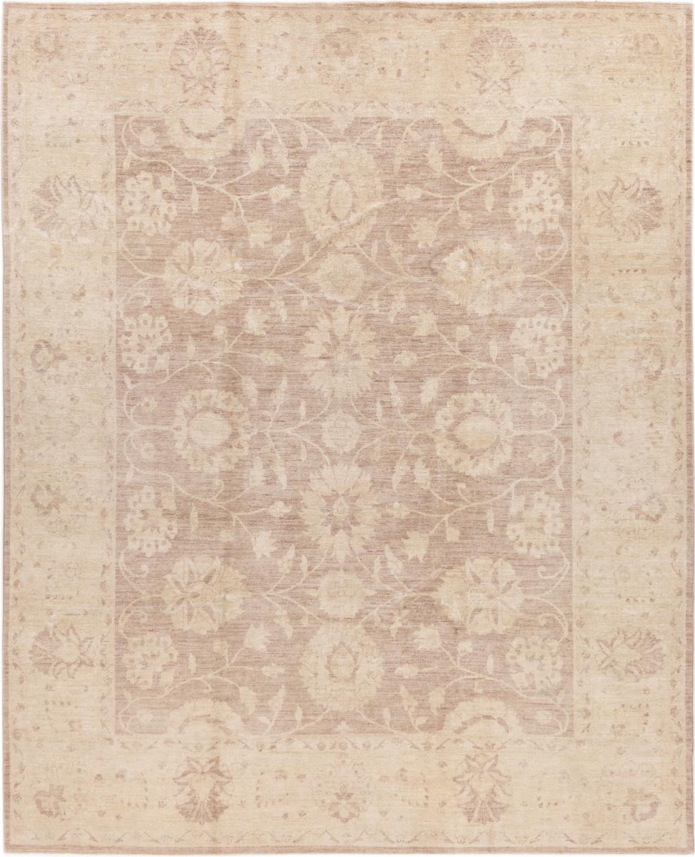 Pakistansk teppe Ziegler Farahan 297x242 297x242, Persisk teppe Knyttet for hånd