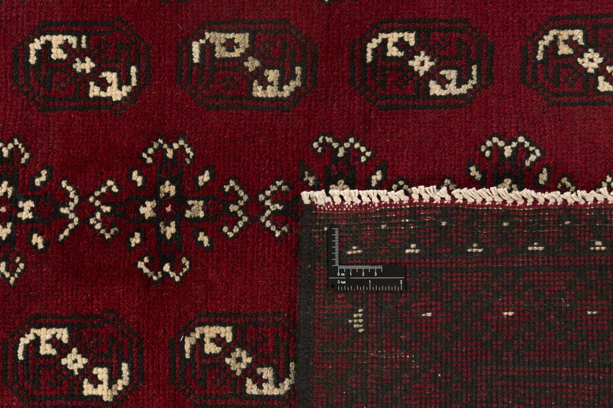 Afghan Akhche - 1