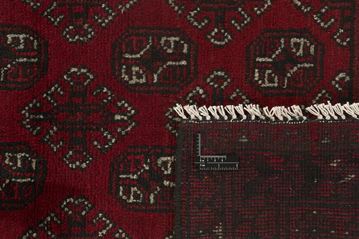Afegão Akhche - 1