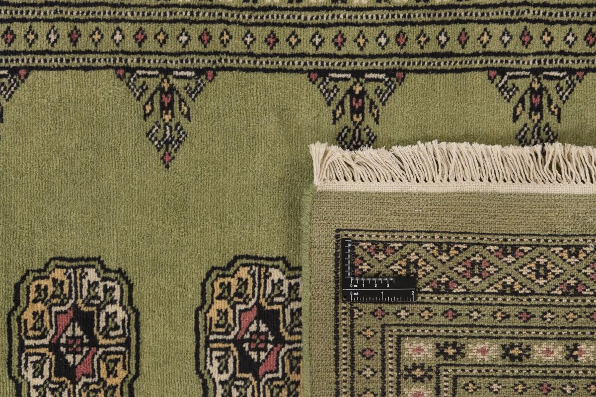 Pakistan Buchara 2ply - 1