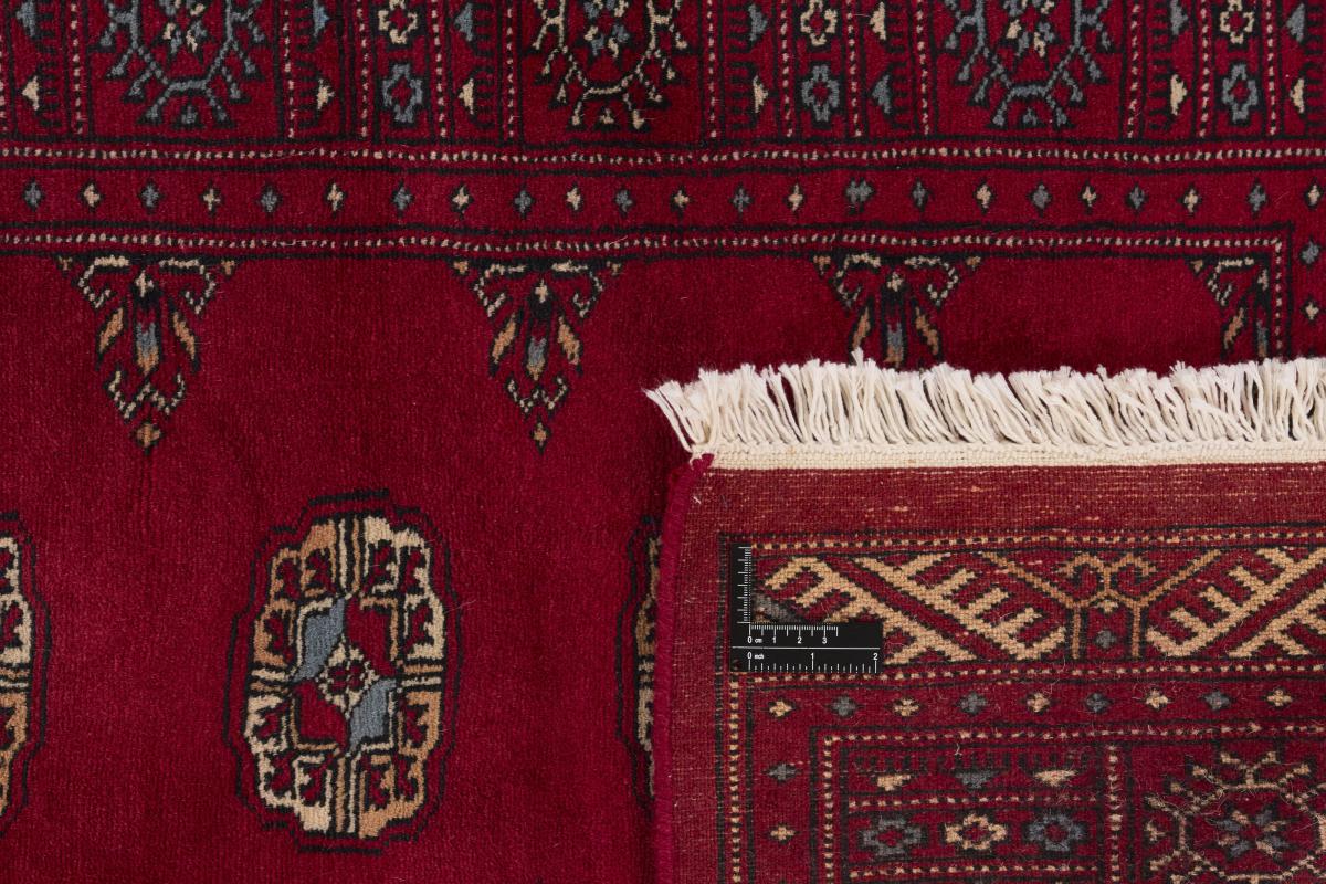 Pakistan Buchara 3ply - 1