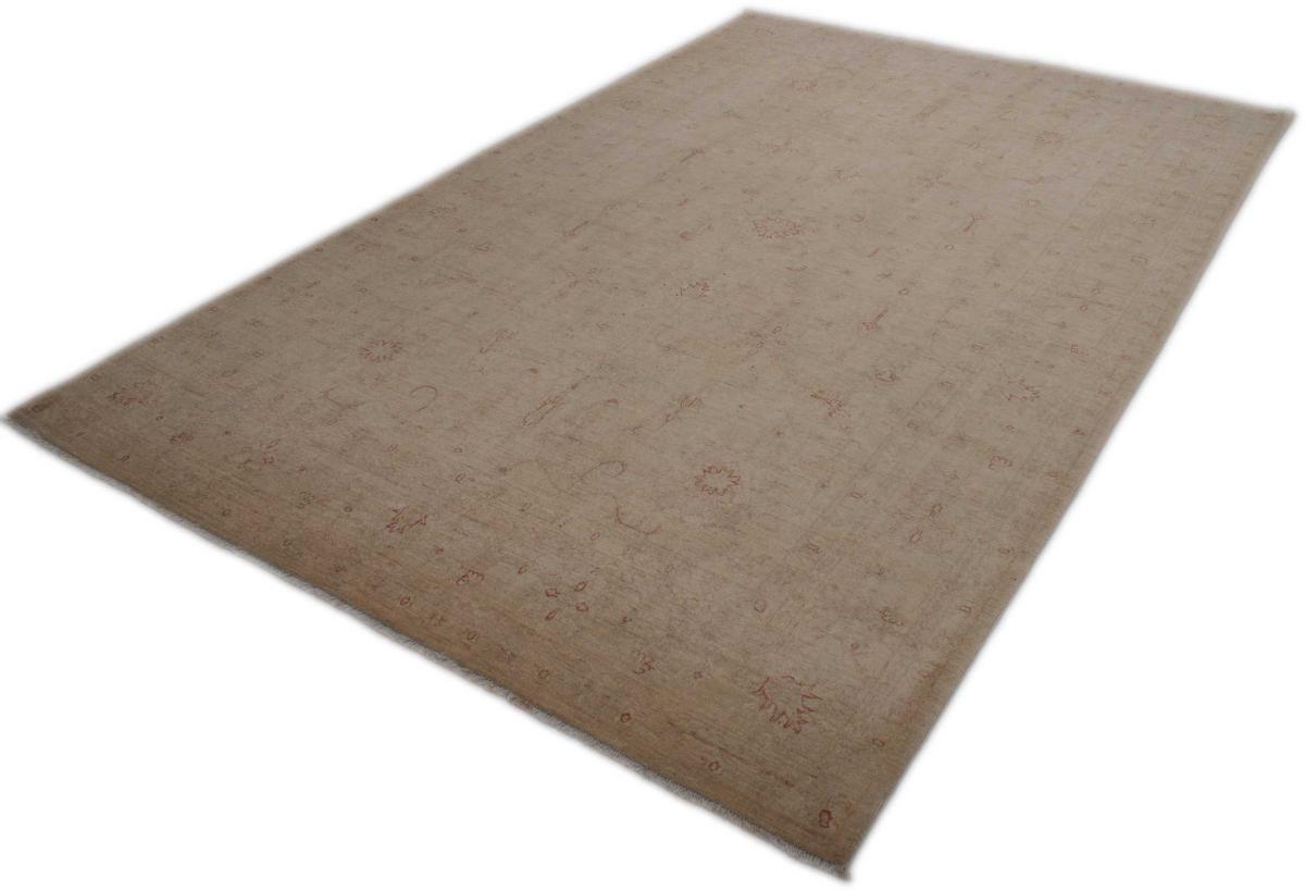 Ziegler Farahan - 1