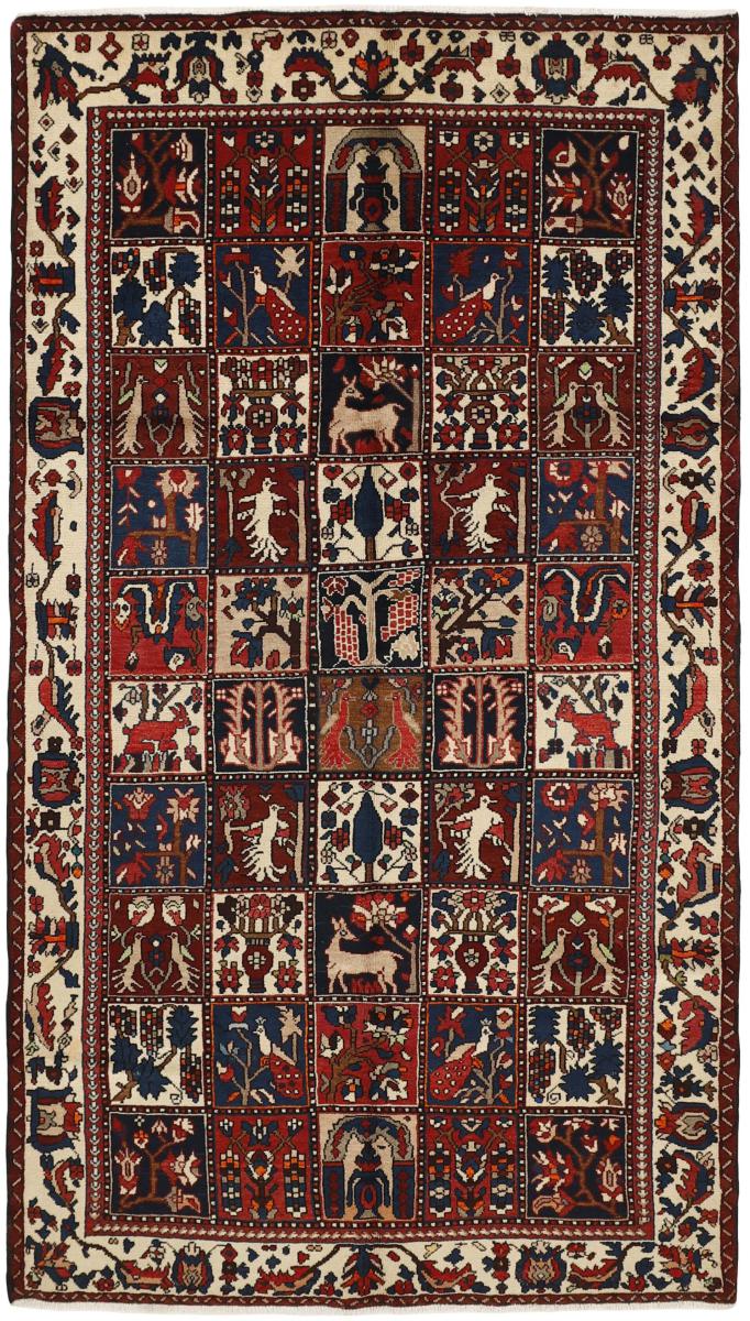 Tappeto persiano Bakhtiar 293x163 293x163, Tappeto persiano Annodato a mano