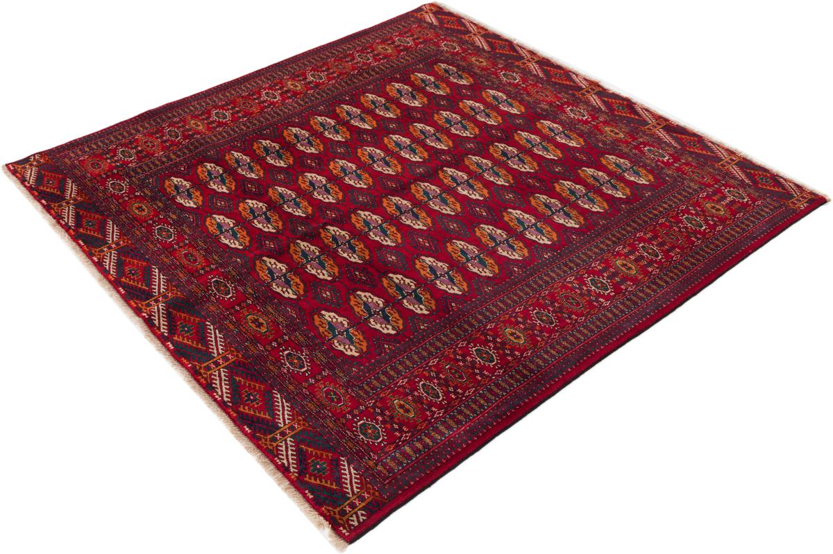 Turkaman - 1