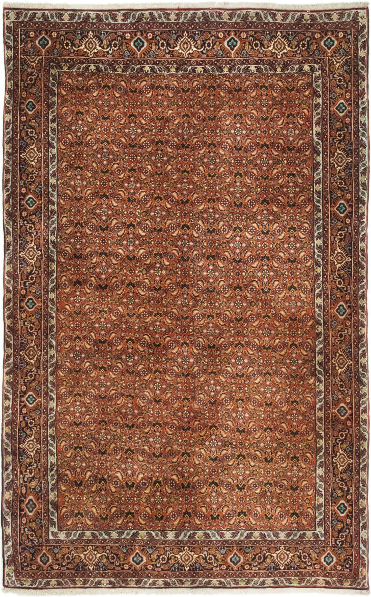 Perzsa szőnyeg Bidjar 266x156 266x156, Perzsa szőnyeg Kézzel csomózva