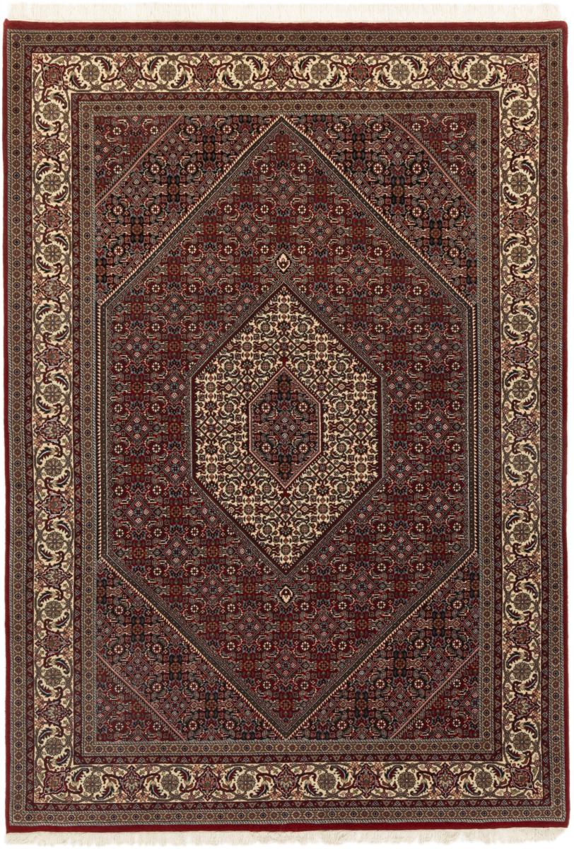 Indo rug Indo Bidjar 244x173 244x173, Persian Rug Knotted by hand
