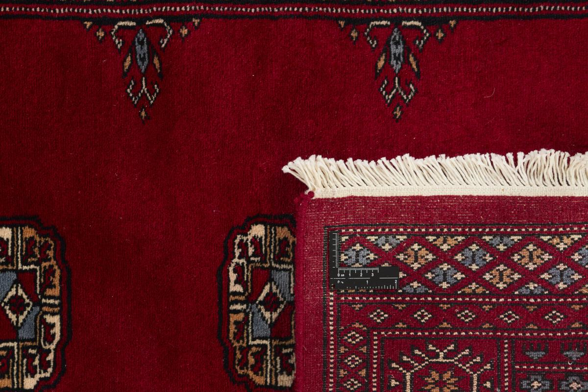 Pakistan Buchara 3ply - 1