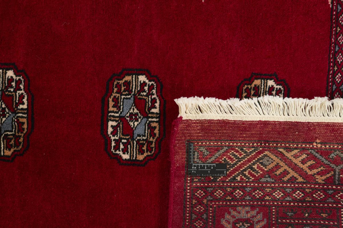 Pakistan Buchara 3ply - 1