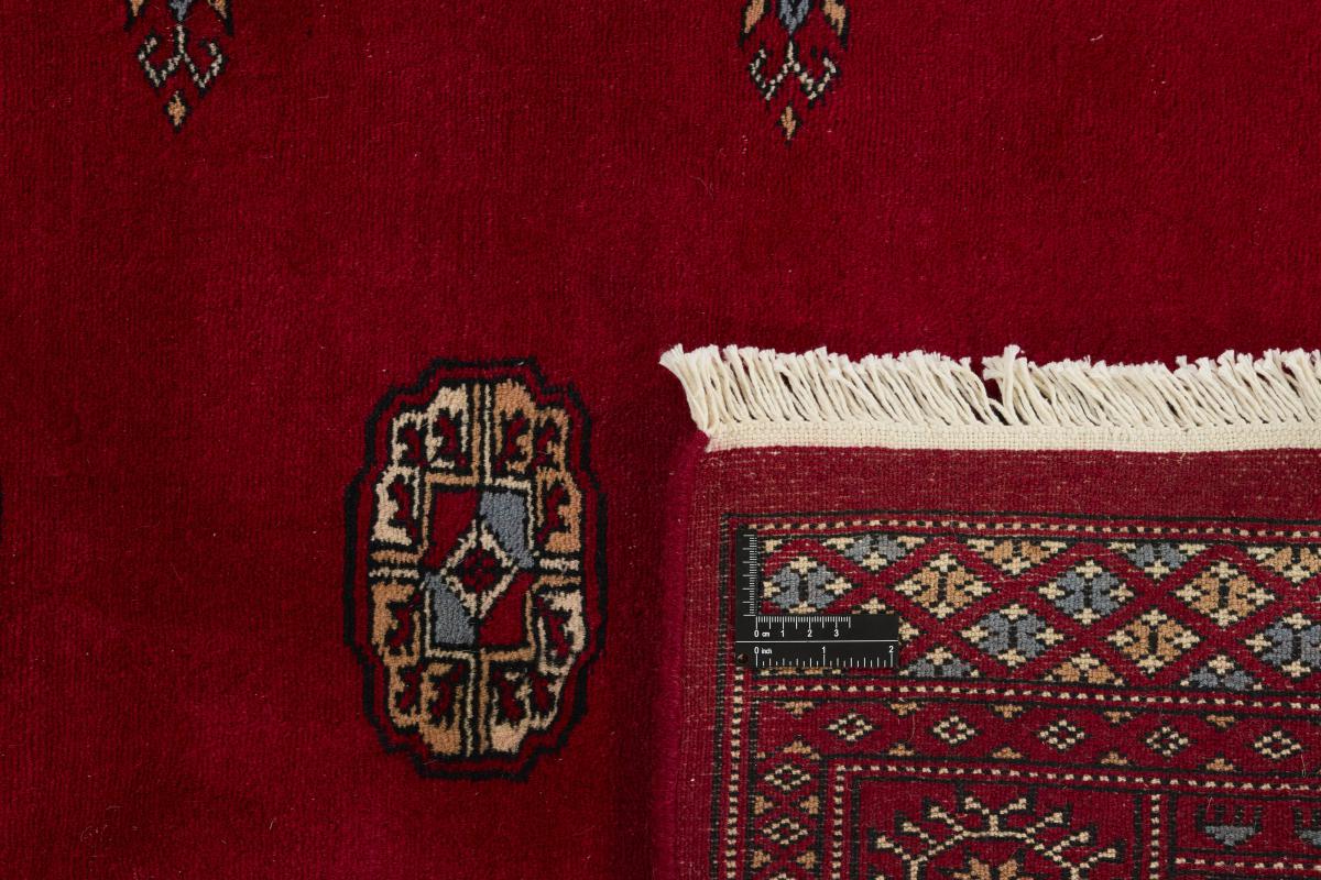 Pakistan Buchara 3ply - 1