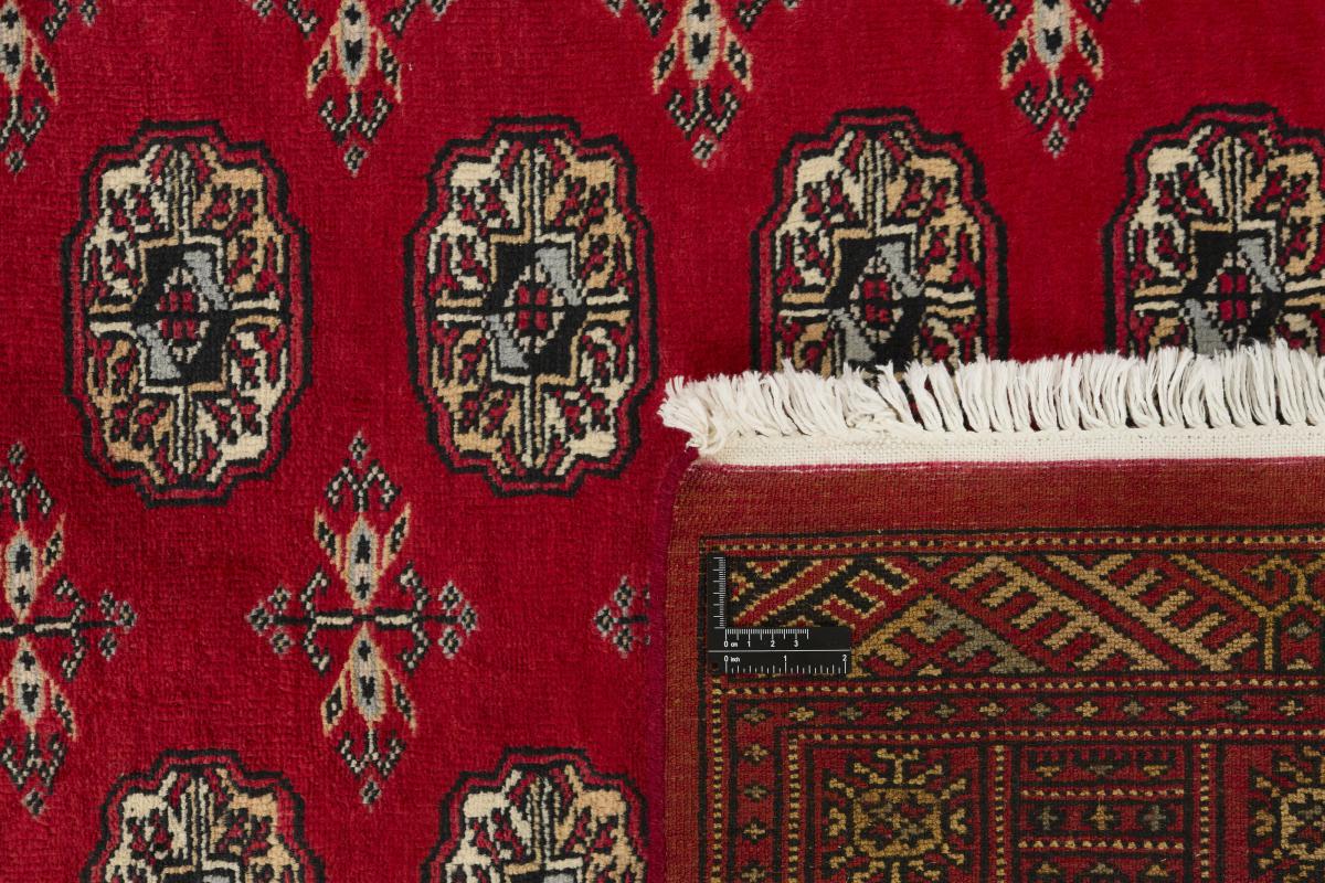 Pakistan Buchara 3ply - 1