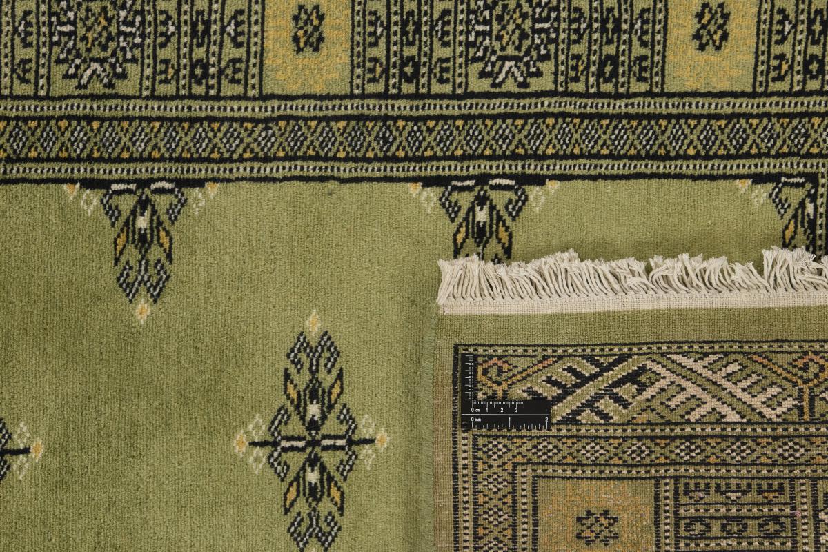 Pakistan Buchara 2ply - 1