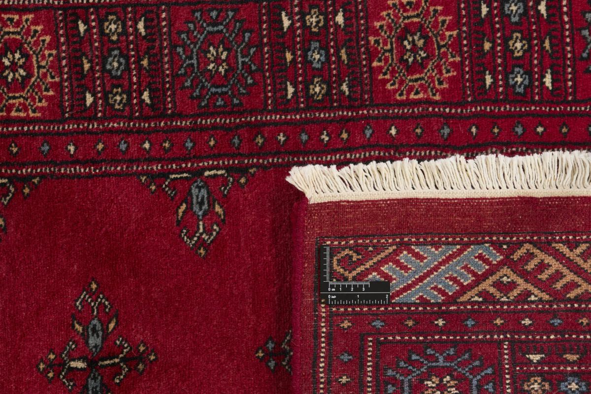 Pakistan Buchara 3ply - 1