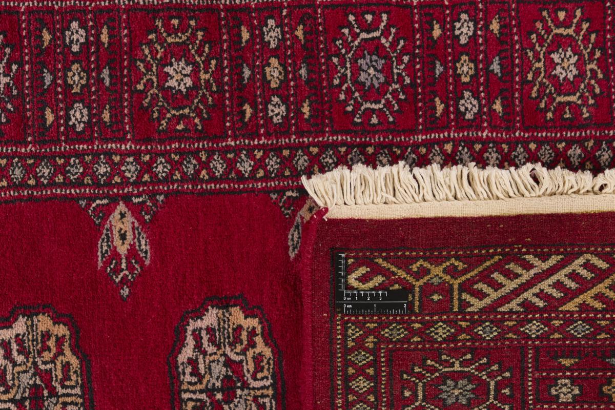 Pakistan Buchara 3ply - 1