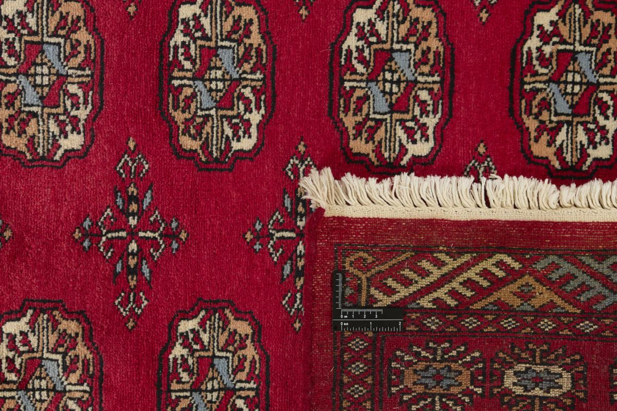 Pakistan Buchara 3ply - 1