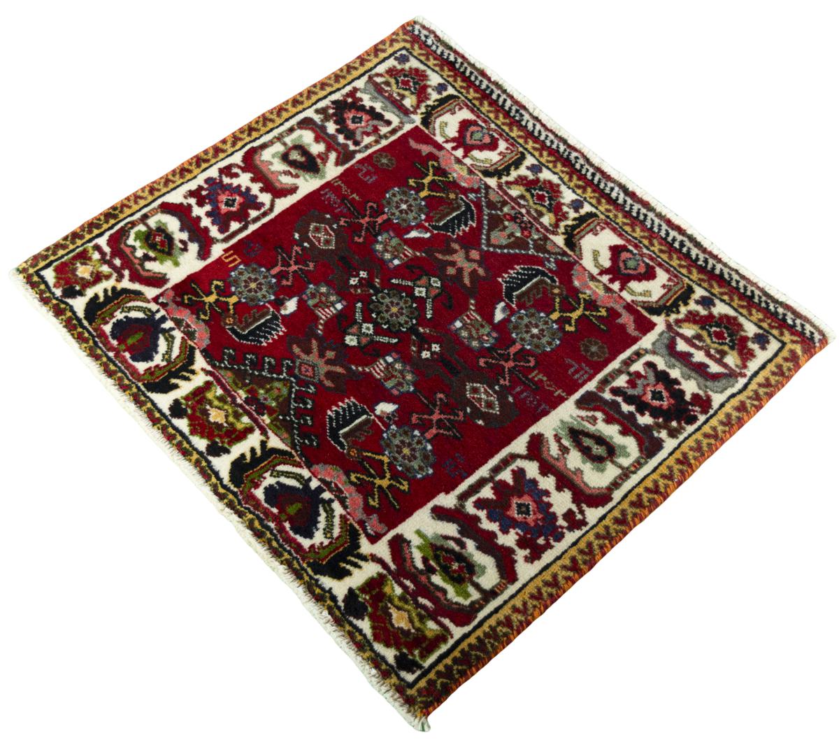 Shiraz - 1